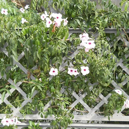 Al Ponte Apartamento Marone